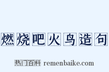燃烧吧火鸟造句是什么意思的图片